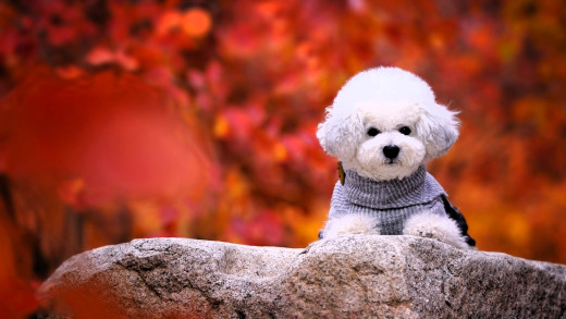 1756144 (a): :2048x1152